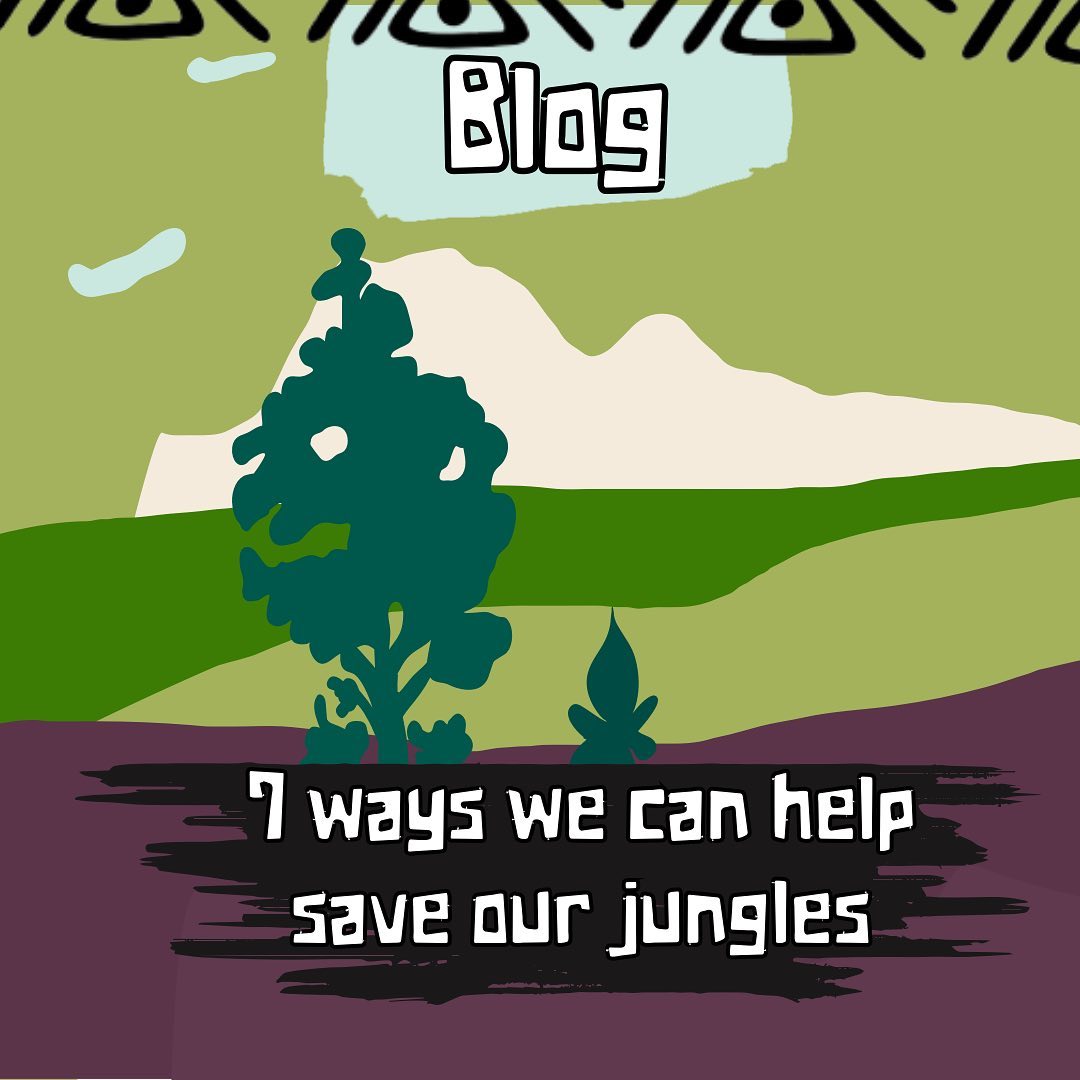 Ways we can help save our jungles