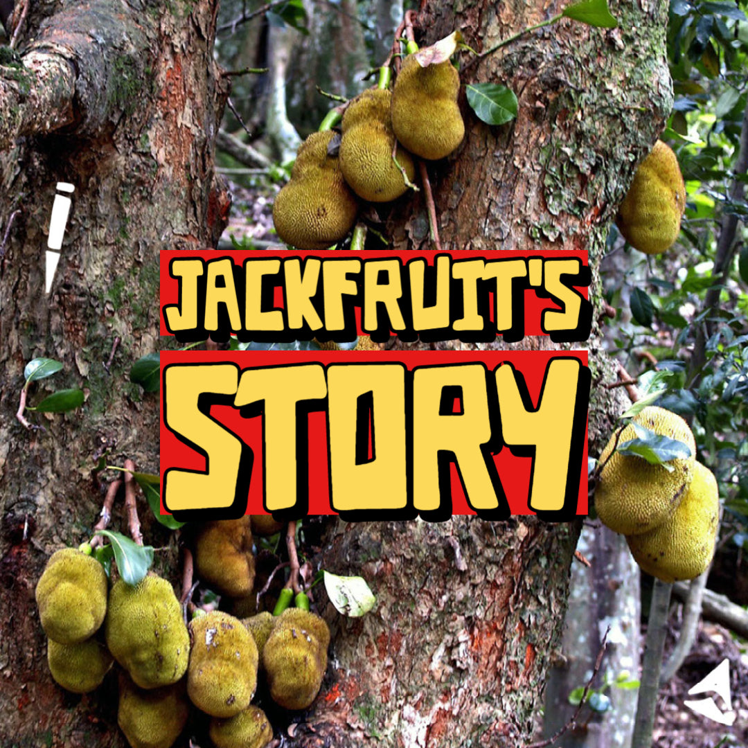 The Story of Jackfruit