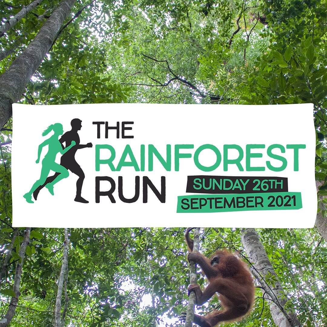 Running For The Rainforest