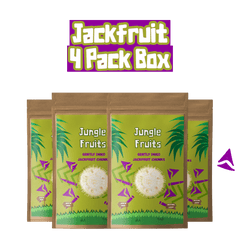 jungle fruits dehydrated jackfruit (jack fruit) subscription box