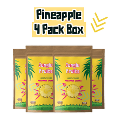 jungle fruits dehydrated pineapple fruit subscription box
